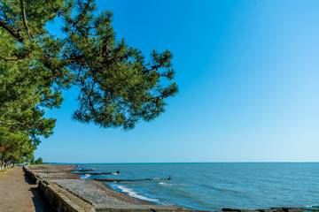 Coastline of Black Sea  in Abkhazia
