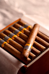 Cuban cigars packed in a wooden box
