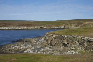 Colourfully grasses and lichens along the coastline of Bleaker Island in the Falkland Islands.
