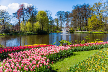 Spring Formal Garden. Beautiful garden of colorful flowers