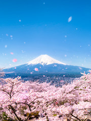 Berg Fuji während der  Kirschblüte in Japan