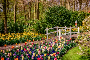 Dekokissen Beautiful garden. Park in The Spring. Spring landscape © EwaStudio