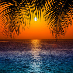 Obrazy na Szkle  Sylwetka drzew palmowych o zachodzie słońca. zachód słońca i plaża. Piękny zachód słońca nad morzem
