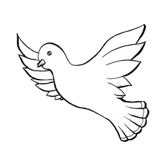 Dove Flying Bird in Sketch Style. Outline or Contour Drawing. Hand drawn Vector Isolated Illustration.