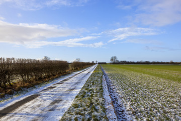 snowy farm road with hedgerow
