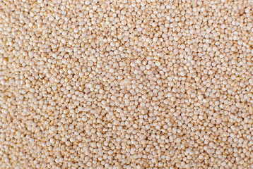Organic Quinoa seeds Macro close up background texture. Top view. Quinoa texture