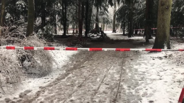 Feuerwehrabsperrung vor einem Tatort im Wald
