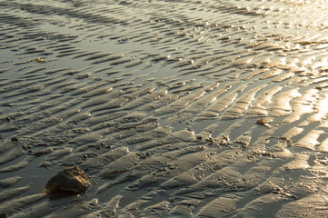 golden reflections on the sand