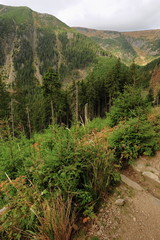 View of the rocky landscape