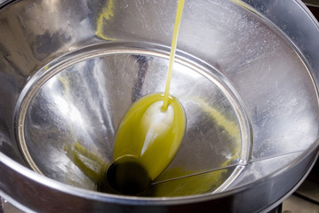 process, extraction of extra virgin olive oil in a factory, obtained from olives, last phase, divided by water with machinery, comes out pure, clear, gold from steel tap to be bottled, Liguria, Italy