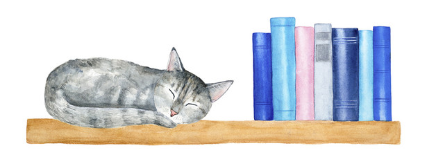 Wall wooden book shelf with little gray tabby cat taking a nap and row of reading books. Blue, pink, grey colored covers. Cozy and warm decoration. Hand drawn graphic on white background, cut out.