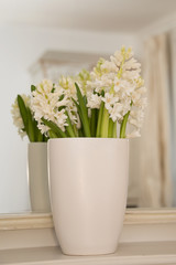 white hyacinths in a white vase on the mantle piece