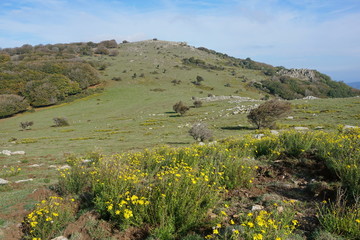 Mountain landscape near the peak Neulos in the Massif des Alberes between France and Spain, Pyrenees Orientales, Catalonia