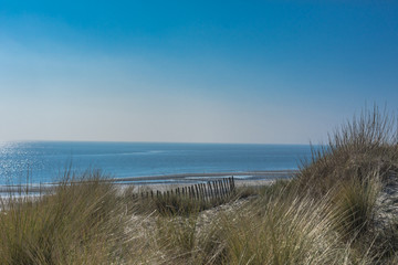 Fototapeta na wymiar Dunes And Beach At The North Sea