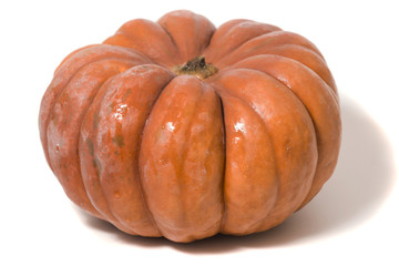 Big orange pumpkin