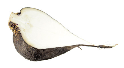 Black radish cut in half inside longitudinal section isolated on white background
