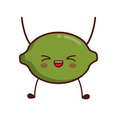 healthy fruits design