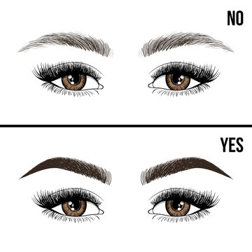 Right and wrong eyebrow coloring and eyebrows shapes. Female eyes and eyebrows vector elements. Types of eye makeup eyebrows. Yes and no vector illustration.