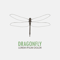 Dragonfly sign linear style Branding Identity Corporate vector logo design template Isolated on a white background