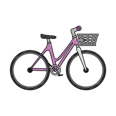 bicycle vehicle with basket vector illustration design