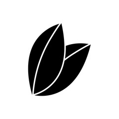 leaves icon image