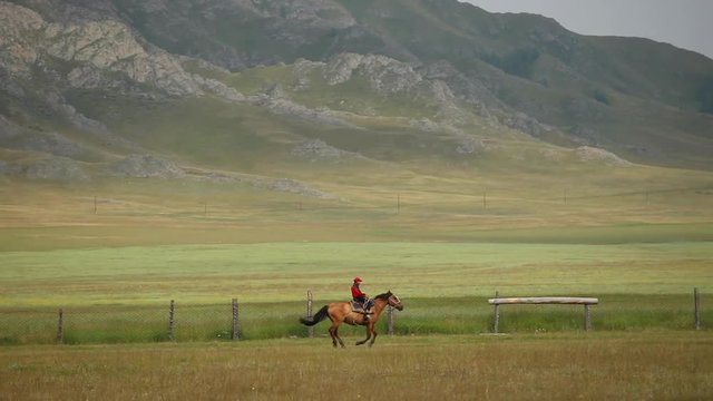 Young Nomad Shepherd On Horseback Galloping Across The Pasture