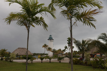 White lighthouse among palm trees 