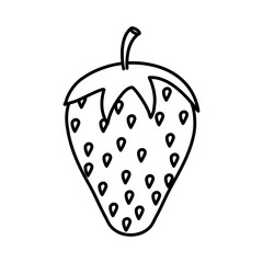 healhty fruits design