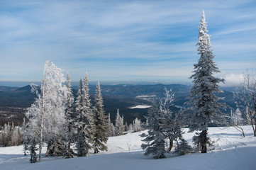 Mysterious winter landscape majestic mountains with snow covered tree.