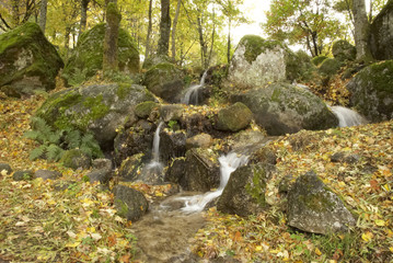 A landscape of the mountain