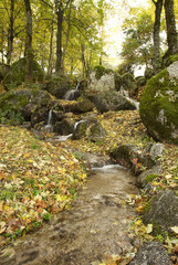 A landscape of the mountain