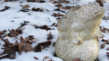 Stone Frog in Snow