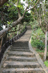 Himmlische Treppe im Yehliu Geo Park, Taiwan
