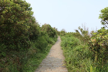 Fototapeta na wymiar Kleiner Pfad im Yehliu Geo Park, Taiwan