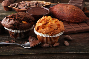 Chocolate muffin and nut muffin, homemade bakery on dark background