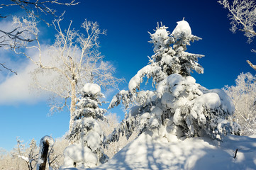 The soft rime and snow scenic of China's Snow Town.