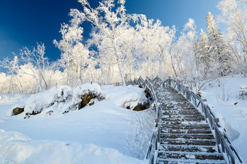 The wooden gallery road in the winter mountain