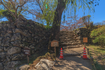 春の懐古園の風景