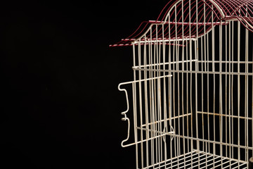 Cage with an open door