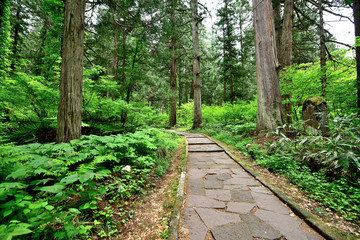 長い階段が続く参道