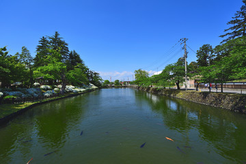Obraz premium 日本の城の堀情景