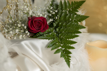Single red rose real natural flower bud for wedding, love valentines day