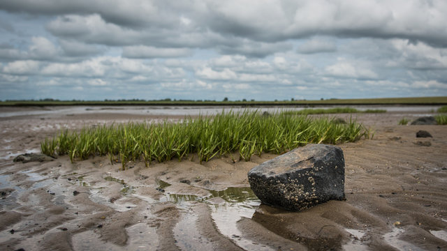 watt husum nordsee