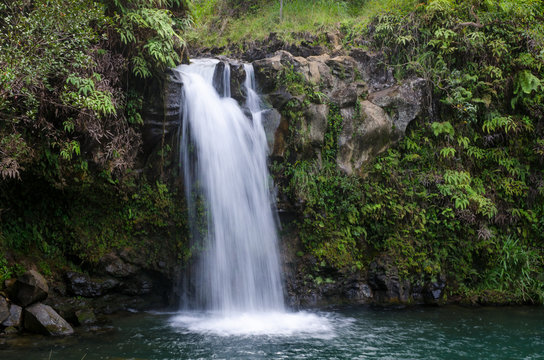 Rainforest Waterfall © Gelu Popa