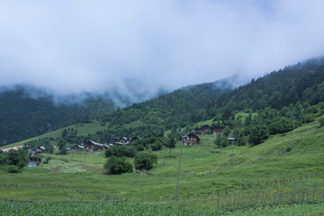 Village Houses