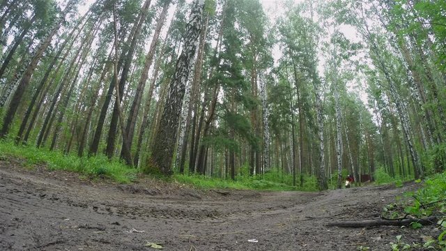Jumping enduro motocross racer on forest track
