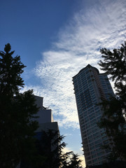 Clouds in the blue sky, buildings  and trees in Daegu, Korea.