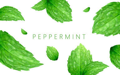 Peppermint background design