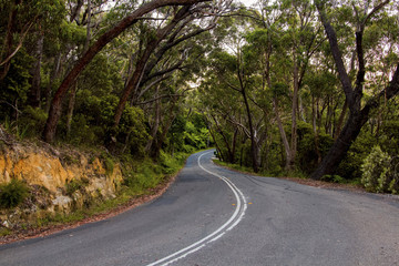 Winding mountain road in rainforest in Blue Mountains Australia