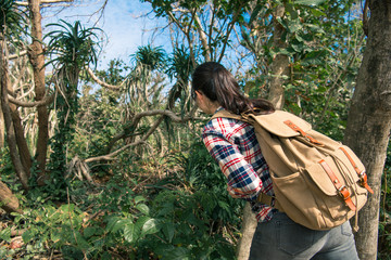 back view photo of young female jungle researcher